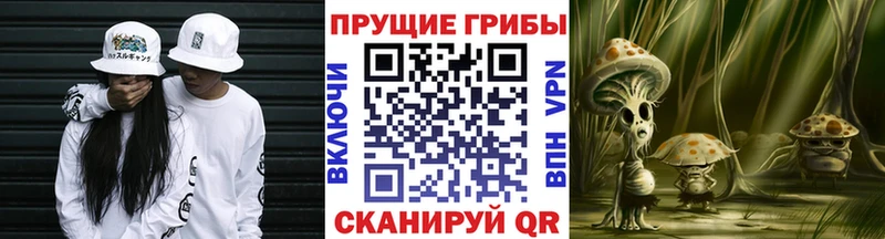 блэк спрут ссылки  Верхняя Салда  Псилоцибиновые грибы Psilocybine cubensis  купить наркоту 