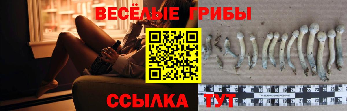 Галлюциногенные грибы Magic Shrooms  Вход с VPN  Галлюциногенные грибы мухоморы  Верхняя Салда 